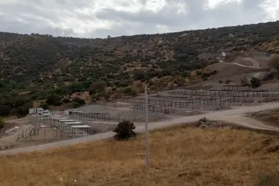 Dikili’ye tam teşekküllü sokak hayvanları kampüsü