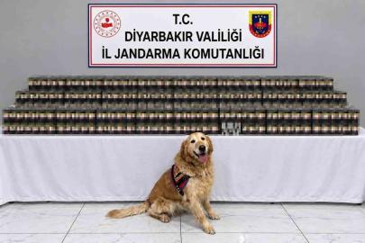 Diyarbakır’da kaçakçılık operasyonlarında 29 şüpheli hakkında işlem yapıldı