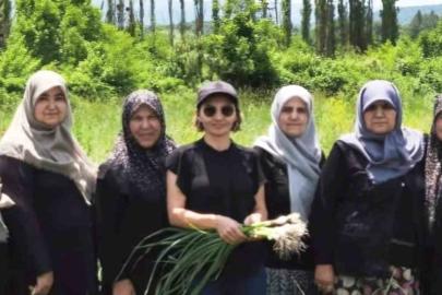 Domaniç Çamlıca Sarımsağının coğrafi işaret yolculuğu sürüyor