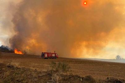 Edirne’de anız yangını: Kaplumbağalar ve yabani hayvanlar da etkilendi