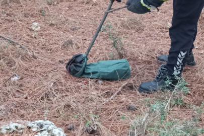 Evin girişinde bulunan yılan, itfaiye ekiplerince doğaya bırakıldı