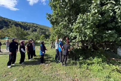 Gençlerin hasat heyecanı