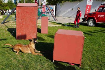 K9 köpekler hünerlerini sergiledi: Saklanan çocukları saniyeler içinde buldular