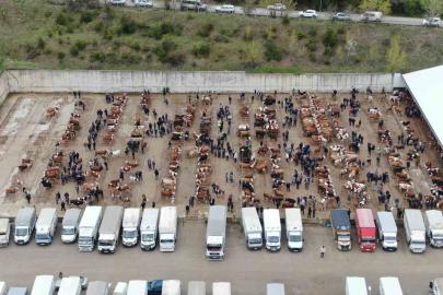 Kastamonu’da canlı hayvan pazarları kapatıldı