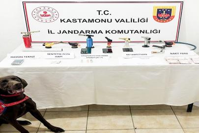 Kastamonu’da uyuşturucu operasyonu: 1 gözaltı