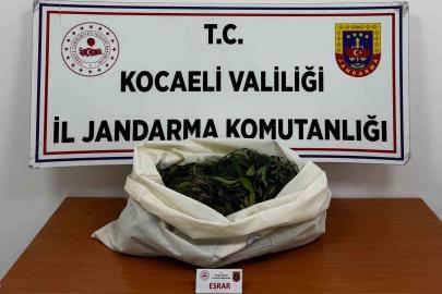Kocaeli’de jandarmadan 4 ilçede uyuşturucu operasyonu