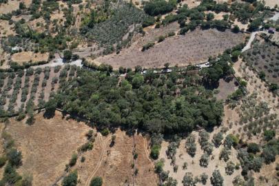 Manisa’da 500 yıllık mezarlıkta kapsamlı bakım çalışması
