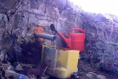 Muratlı’da fotokapan yaban hayatını kaydetti: Gelincik, çakal ve domuz sürüsü görüntülendi