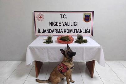 Niğde’de bir haftada 51 aranan şahıs yakalandı