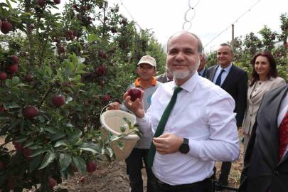 NÖHÜ’de 200 tonun üzerinde elma rekoltesi