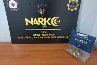 Ordu’da uyuşturucu operasyonunda 1 tutuklama