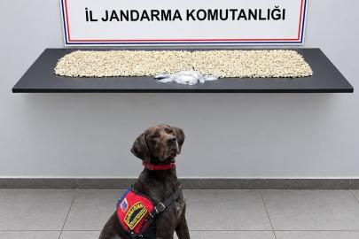 Şanlıurfa’da 14 bin 410 Captagon ele geçirildi