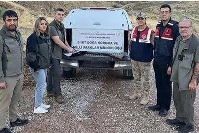Siirt’te kaçak avcılığa geçit verilmiyor