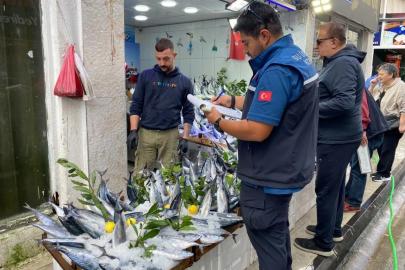 Sinop’ta balık satış yerleri denetlendi
