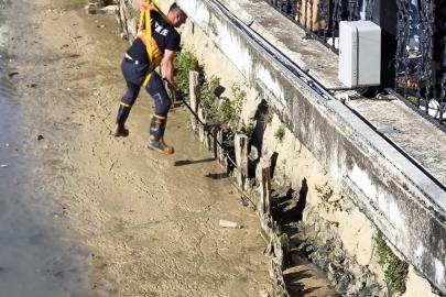 Yalova’da itfaiye ekipleri derede mahsur kalan iki kediyi kurtardı