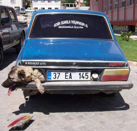Antalyaya yaz geldi