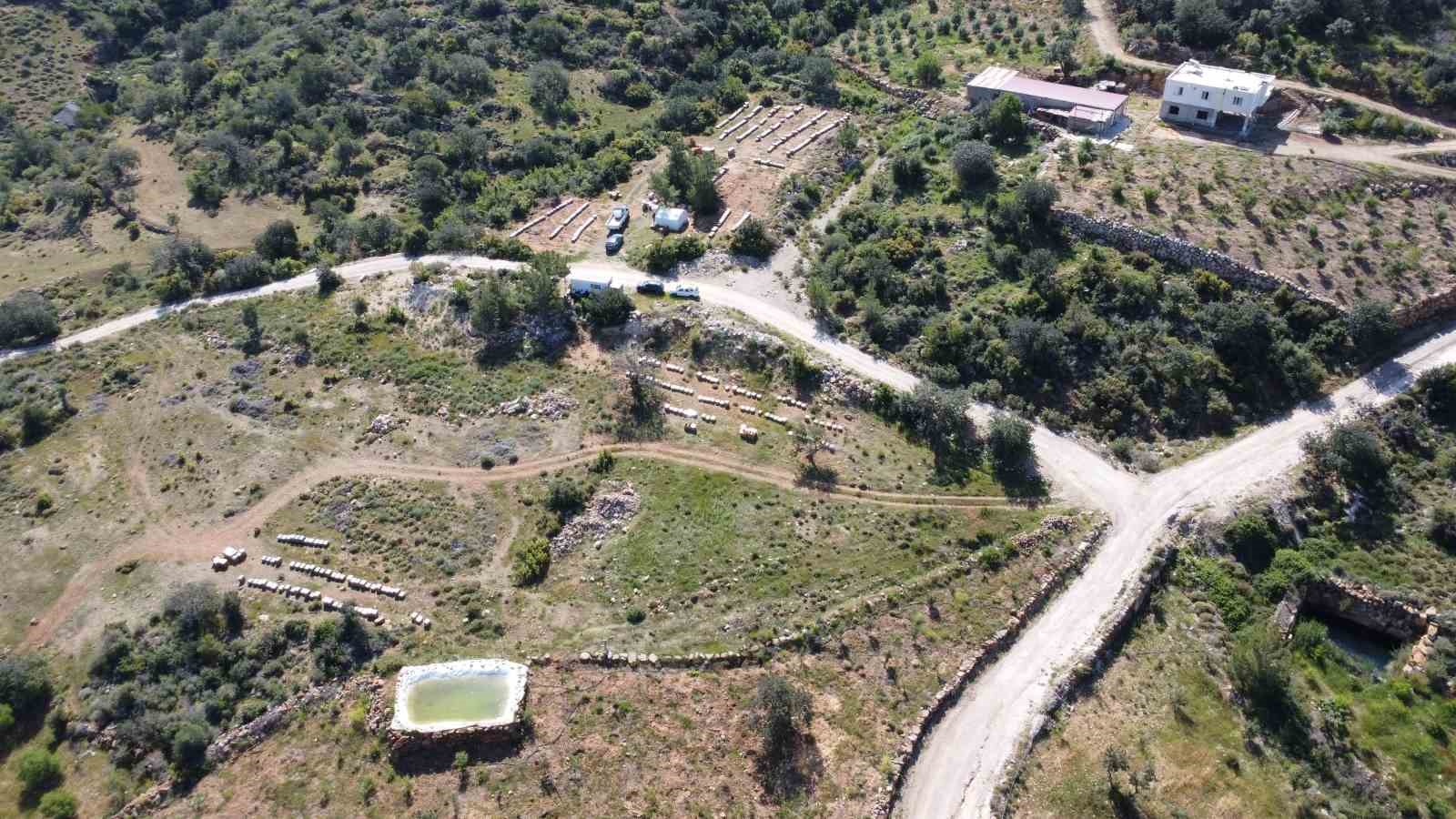 Bahar meyvesini verdi: Şifa deposu polende hasat başladı