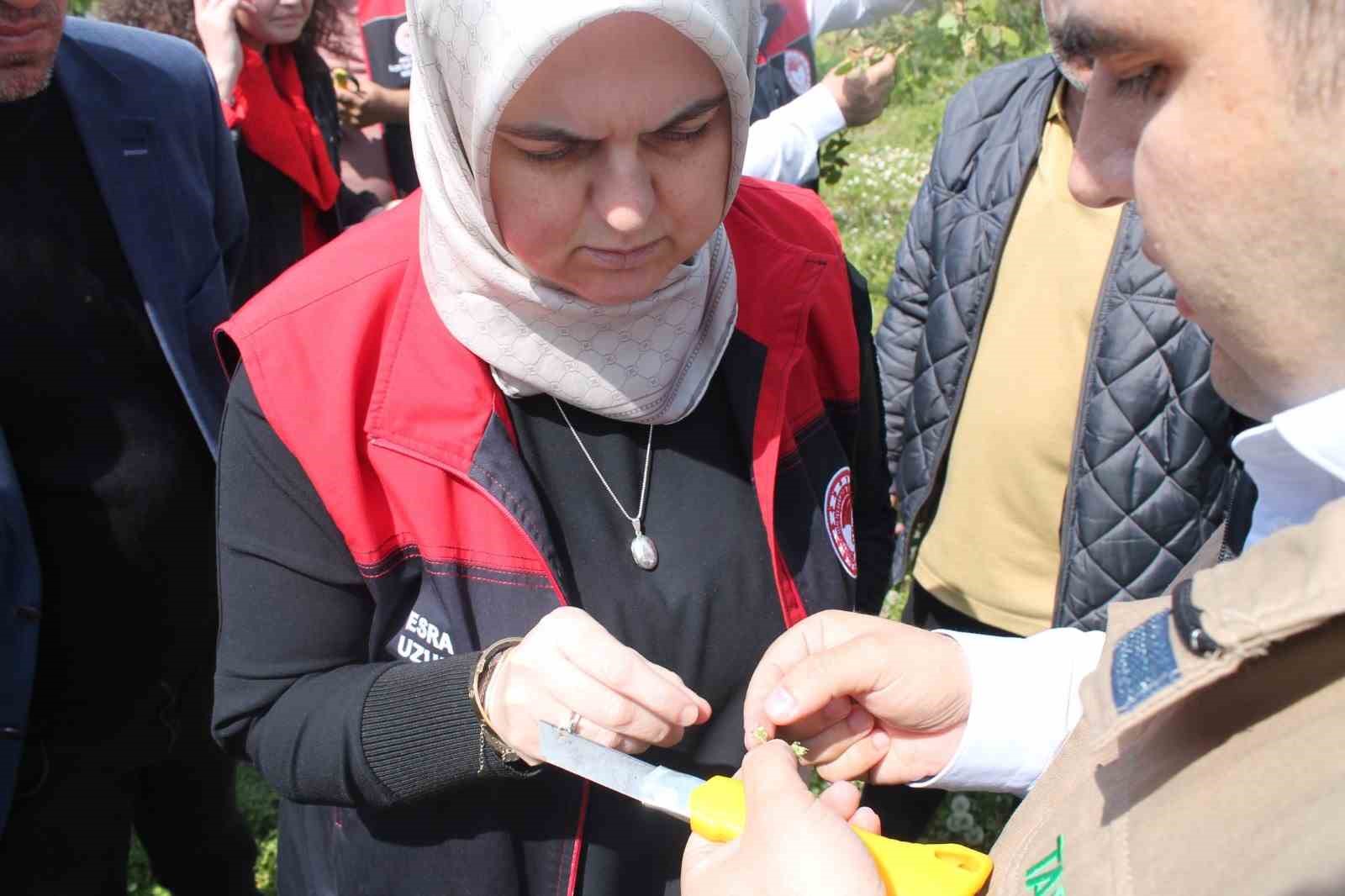 Düzce’nin köylerinde inceleme sürüyor
