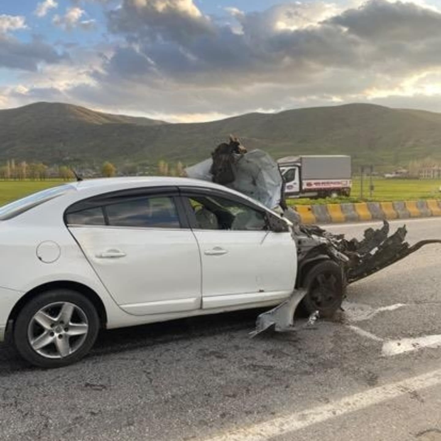 Otomobil hayvana çarptı: 1 yaralı