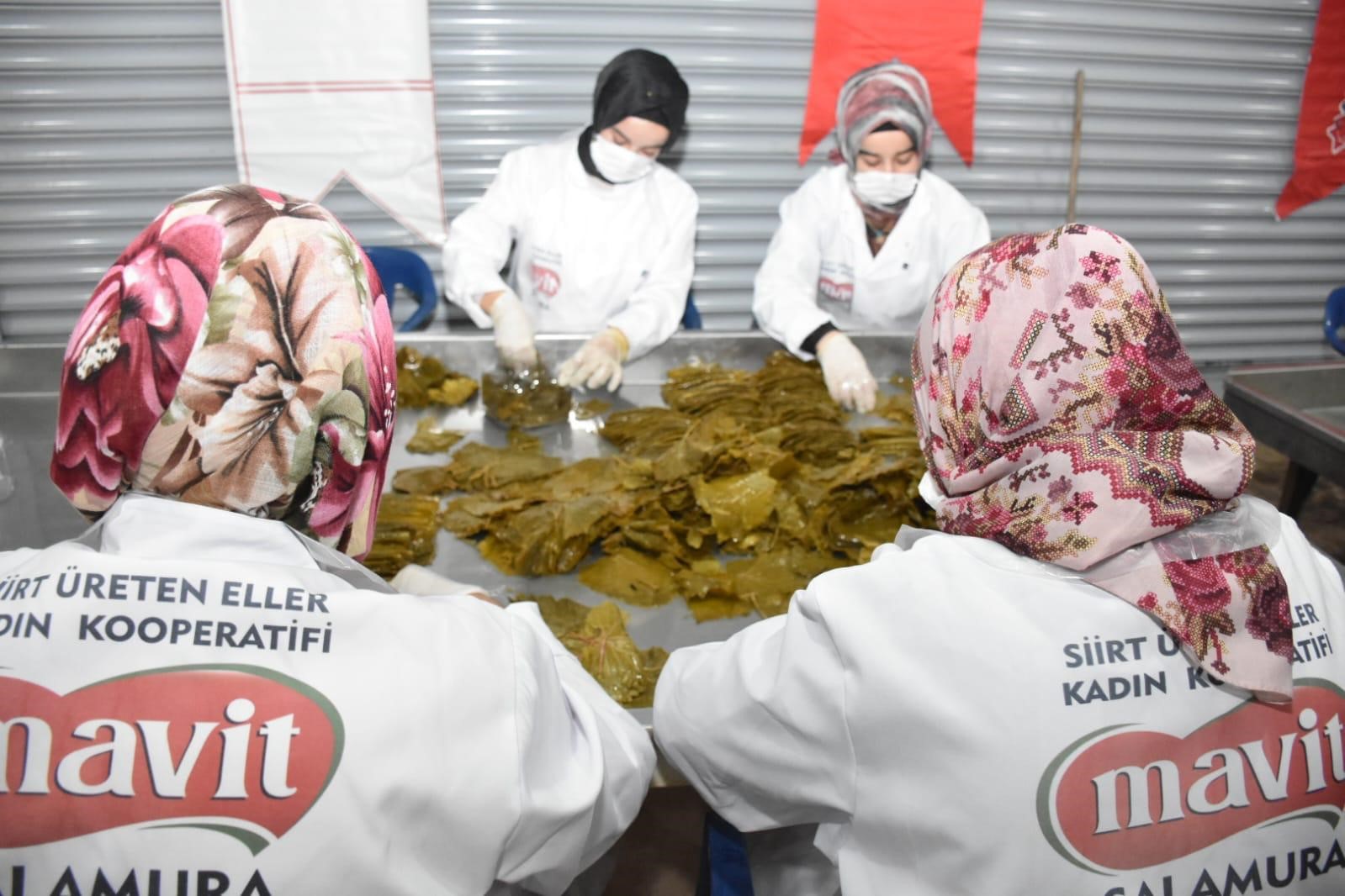 Siirt’te kooperatiflere hibe desteği başvuruları başladı