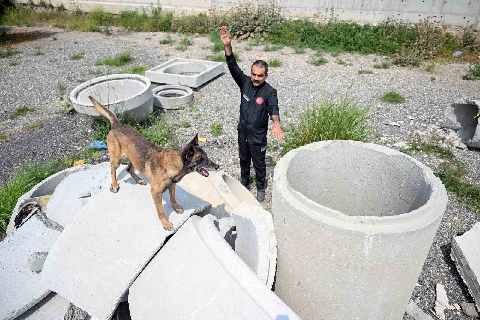 Mersin itfaiyesinin kahraman patileri Ares ve Rex’ten önemli başarı