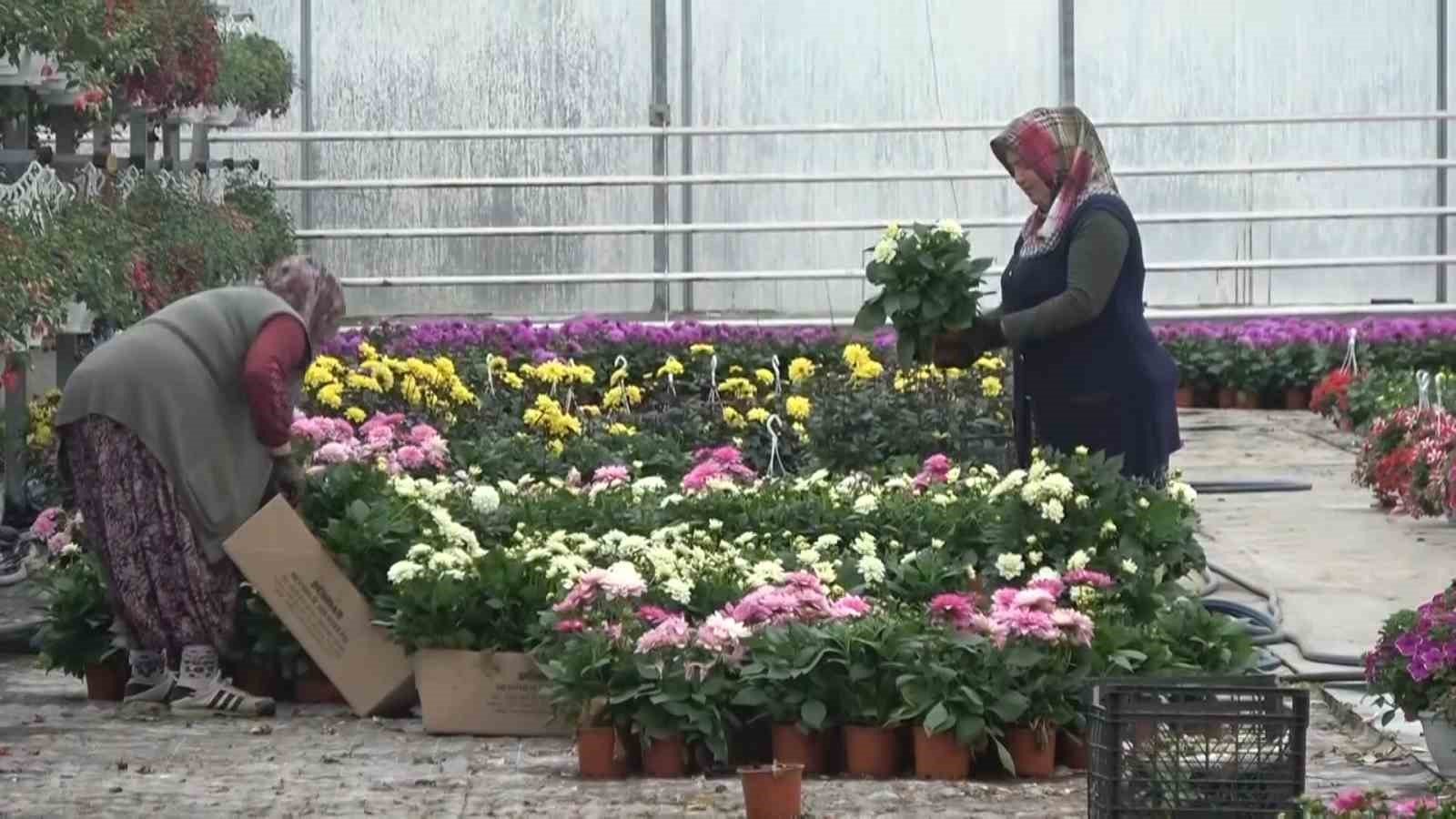 Yalova’dan 4 ayda 190 milyon dolarlık ihracat