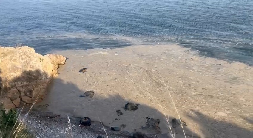 Gemlik’te müsilaj paniği