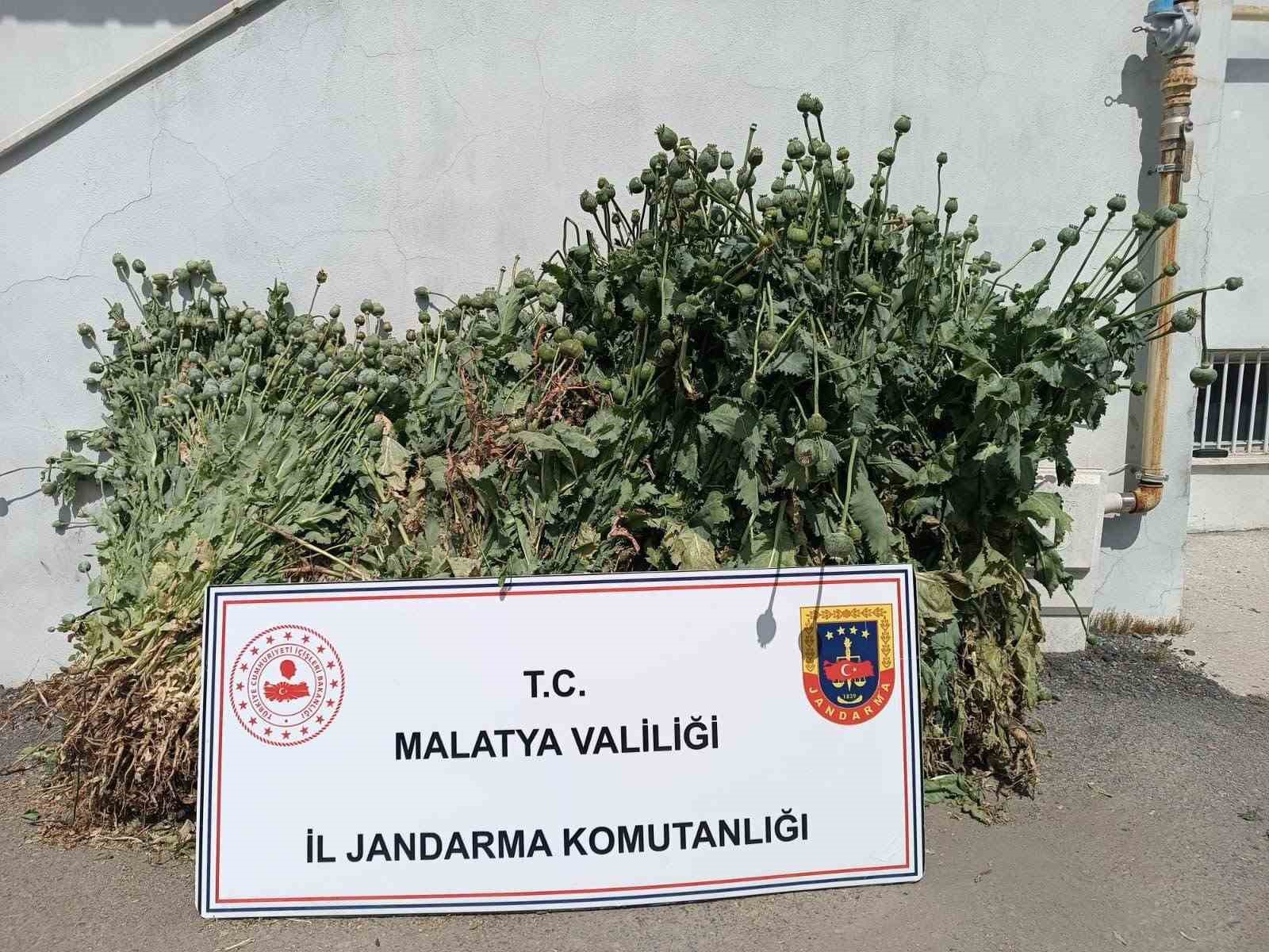 Malatya’da uyuşturucu operasyonları