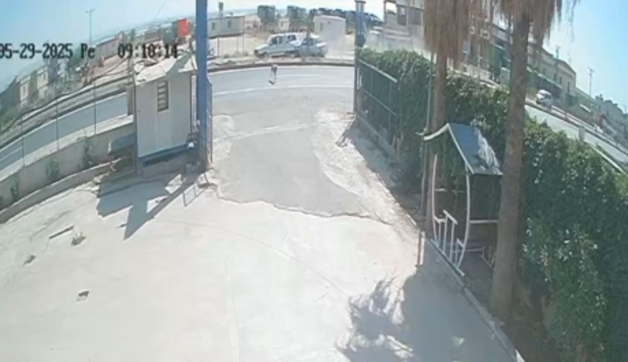 Şanlıurfa’da sokak köpeği zincirleme kazaya neden oldu: 4 yaralı