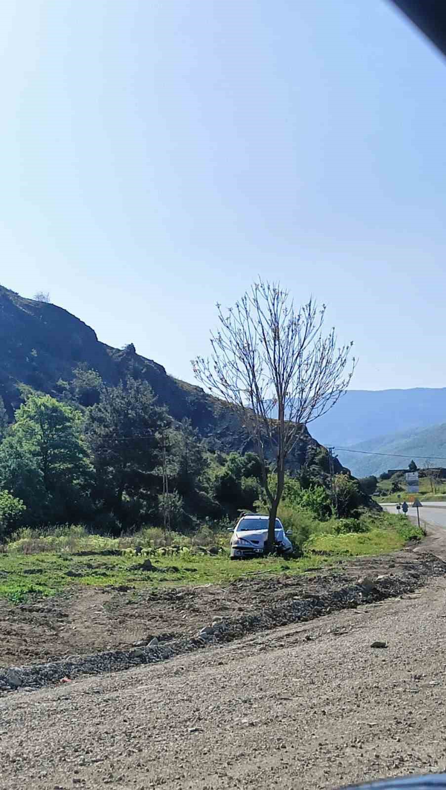 Kastamonu’da otomobil ağaca çarptı: 2 yaralı