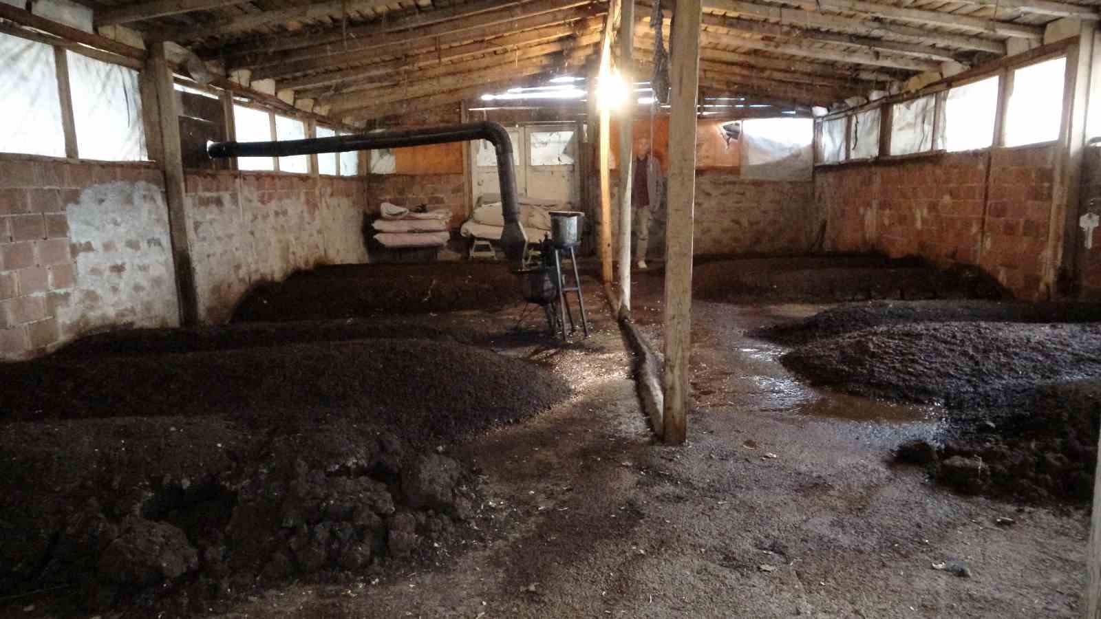 Sıvı solucan gübresiyle tarımda yüzde 30 verim artışı