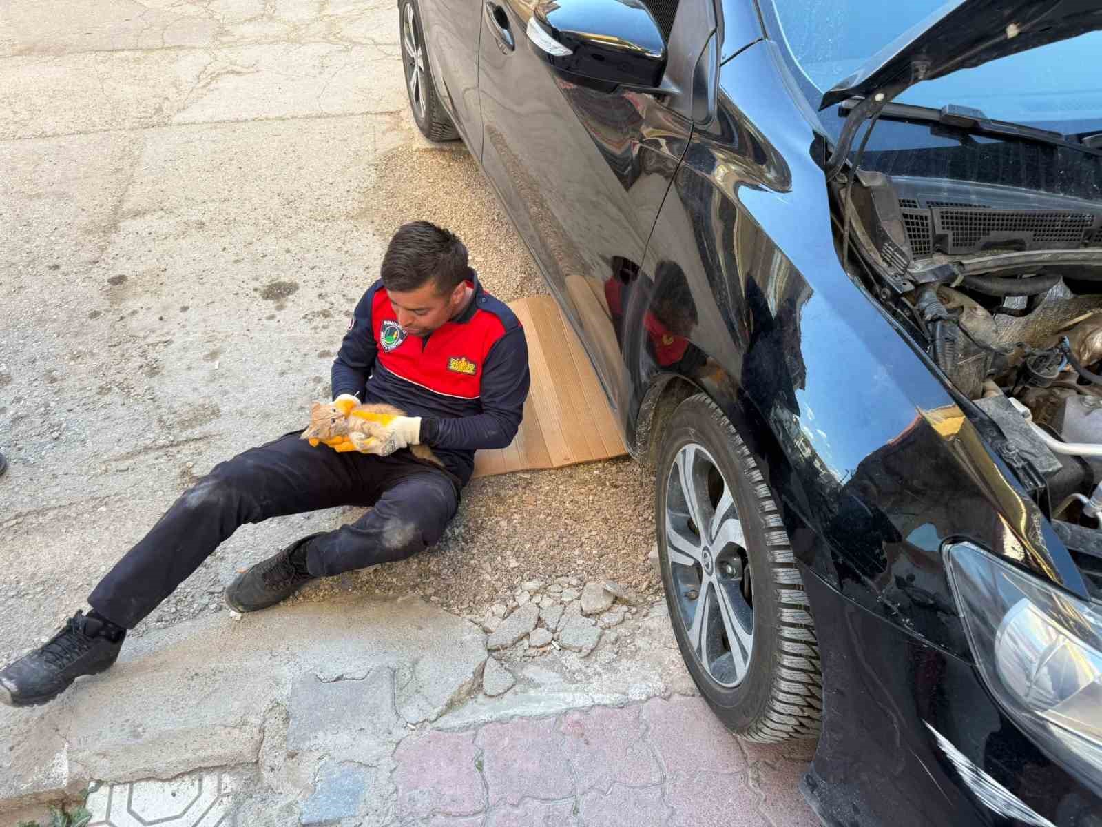 Otomobilin motor kısmına giren yavru kediyi itfaiye kurtardı