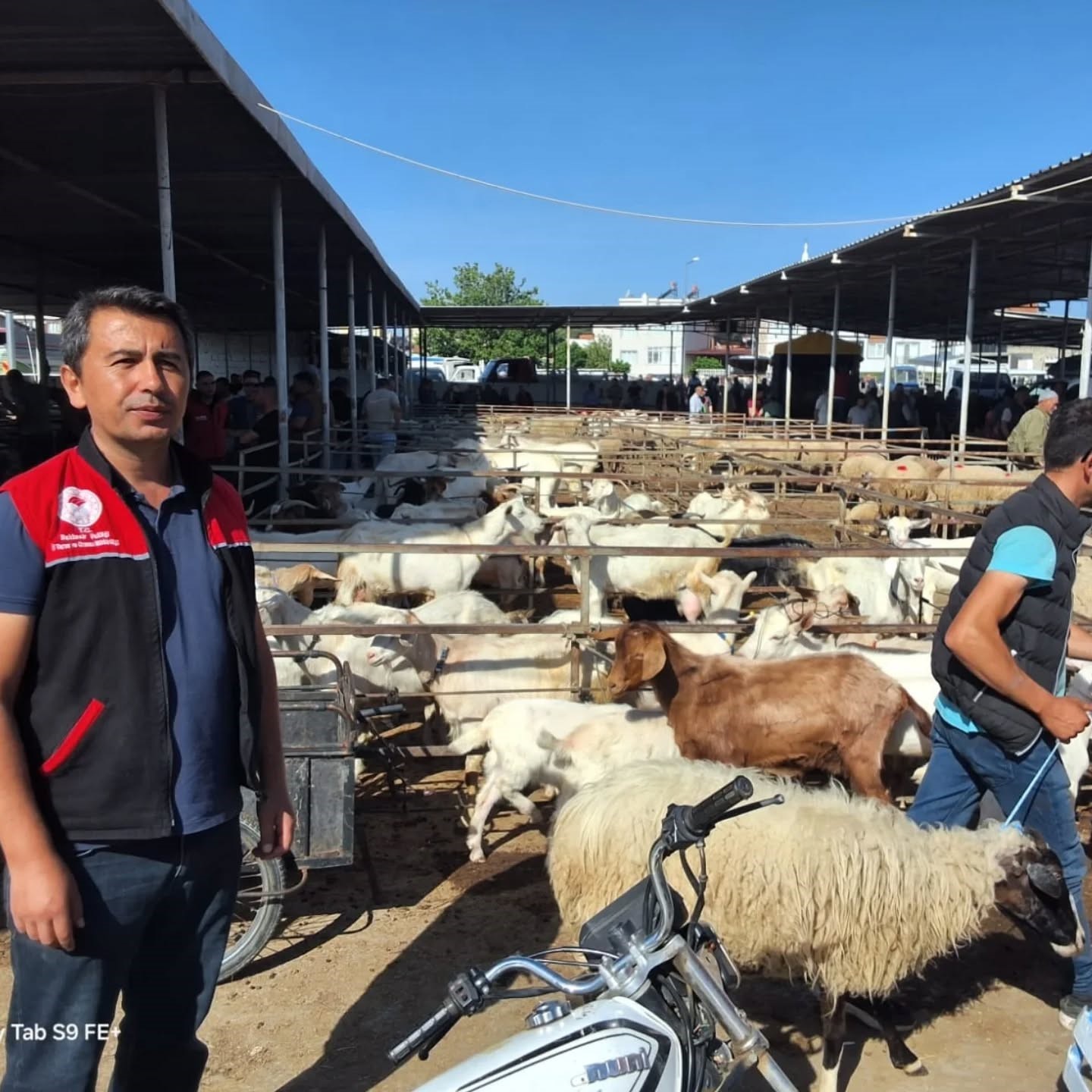 Havran’da Kurban Bayramı öncesi hayvan pazarı denetlendi