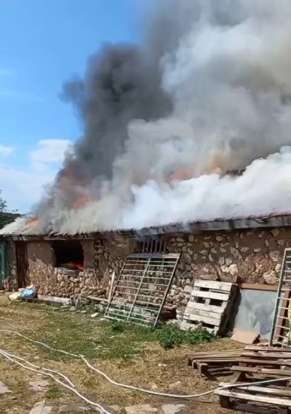 Farelerin kemirdiği kablodan çıkan yangın ahırı kül etti: 30 koyun son anda kurtarıldı