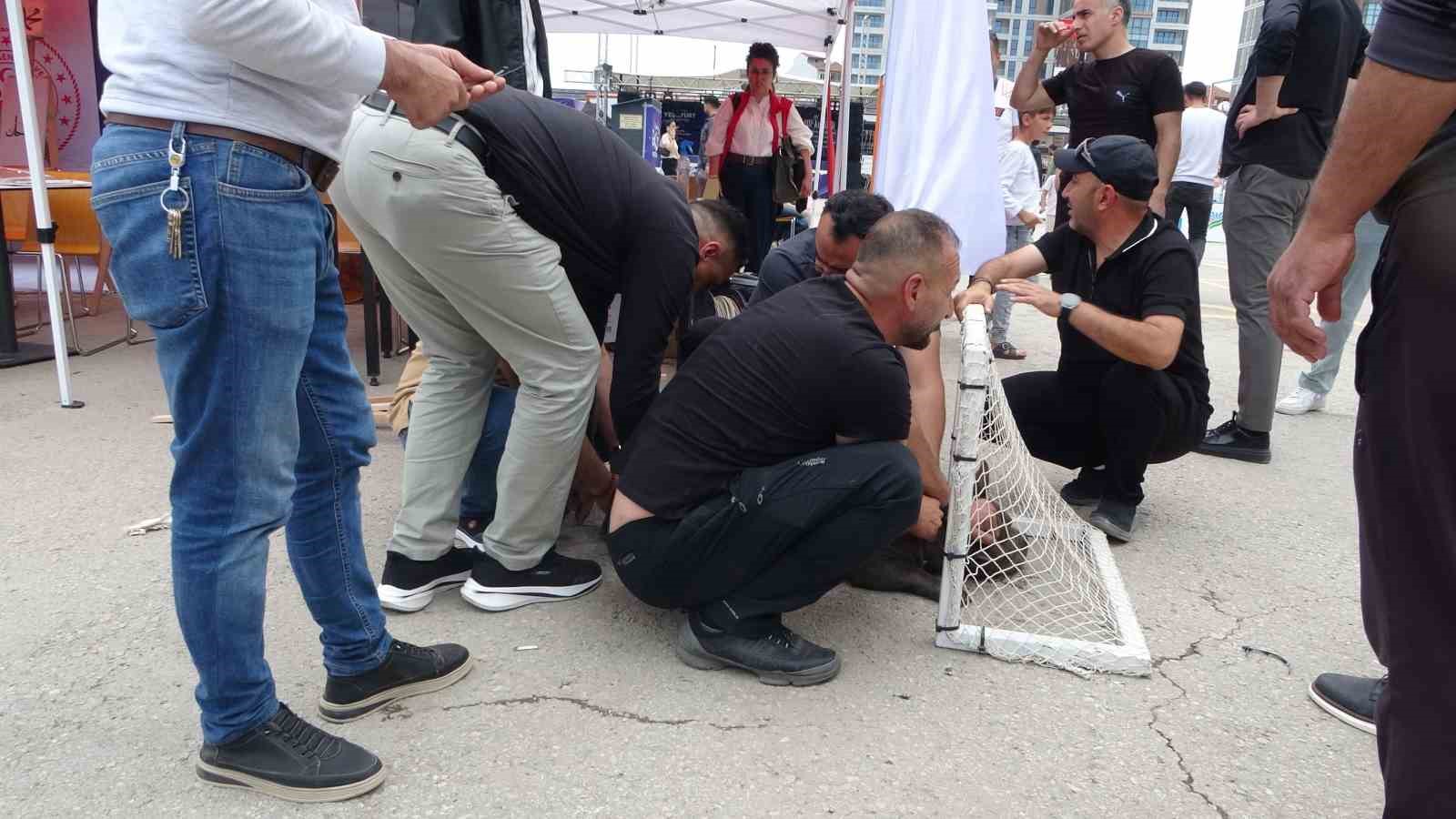 Malatya’da etkinlikte pitbull dehşeti: Bir kadın yaralandı