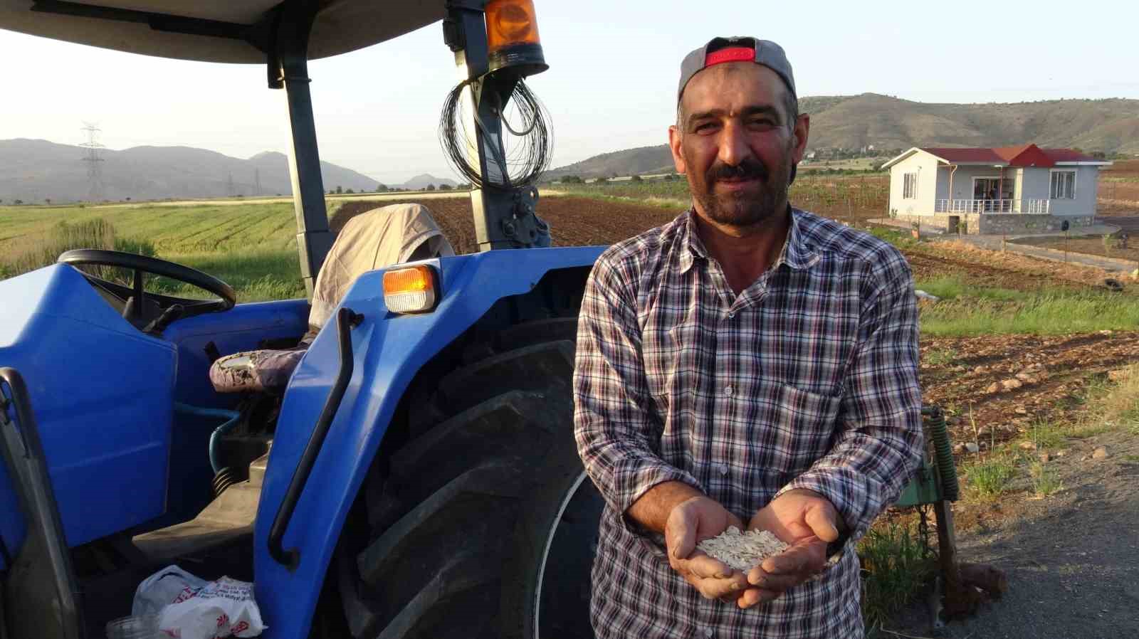 Gercüş’te çiftçiler karpuz ve kavun tohumlarını ekmeye başladı