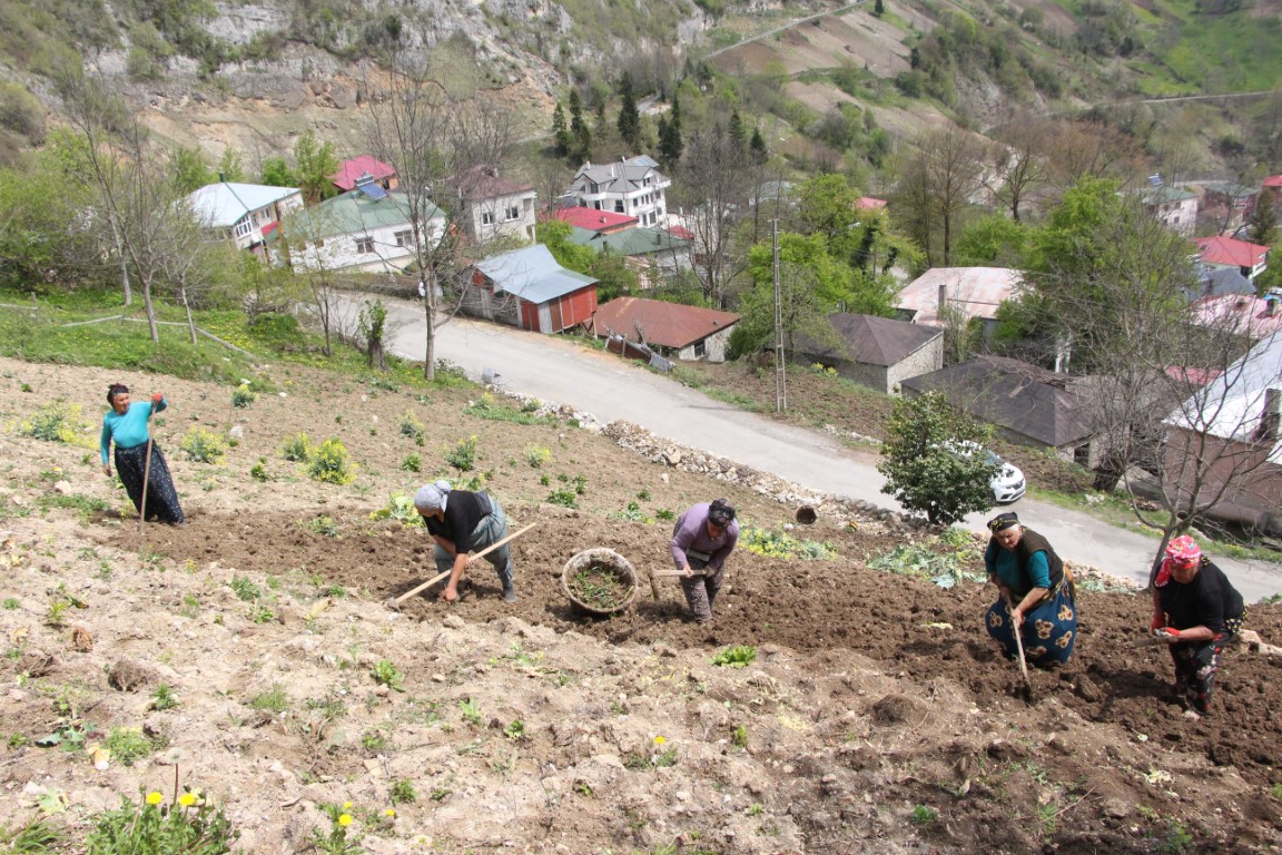 Karadeniz kadınının zorlu mesaisi başladı