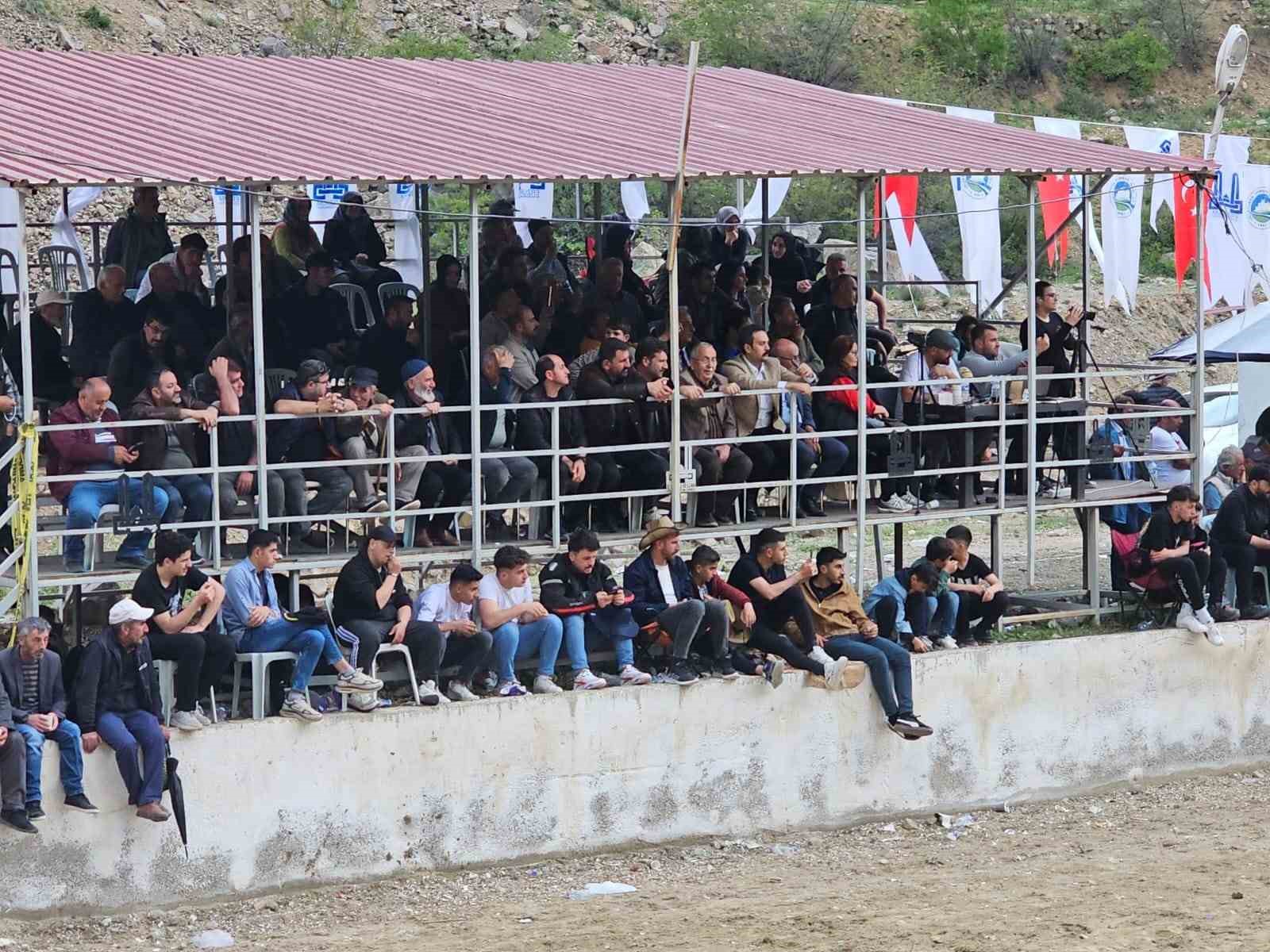 İspir’de boğalar sahada sahipleri saha dışında birbirine girdi