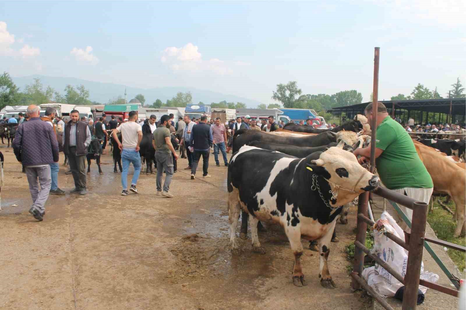 Düzce’de Kurban Bayramı öncesi sıkı denetim
