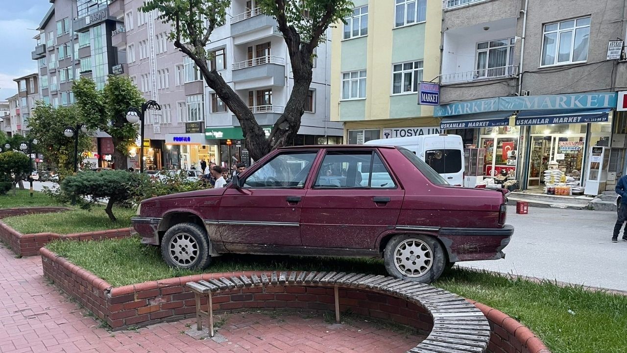 Park halindeyken haraket eden otomobil ağaraca çarparak durabildi