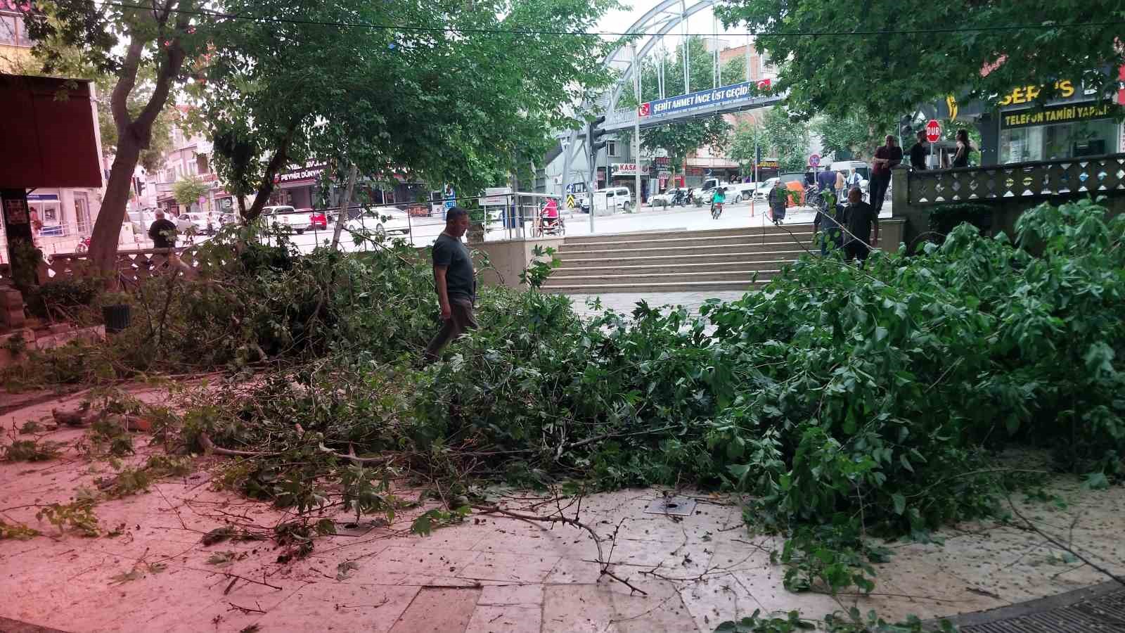 Kestiği dalı ayağıyla iterken düşen işçi ağır yaralandı
