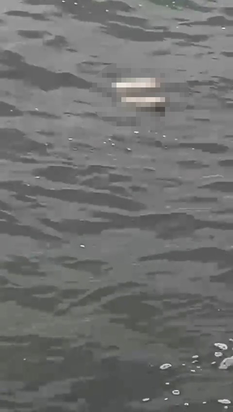 Bursa Mudanya’da kıyıya ceset vurdu