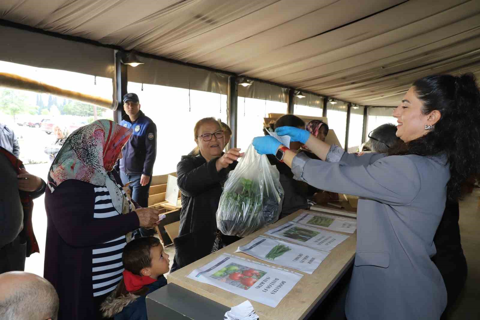 Ordulu üreticilere 380 bin fidenin dağıtımına başladı