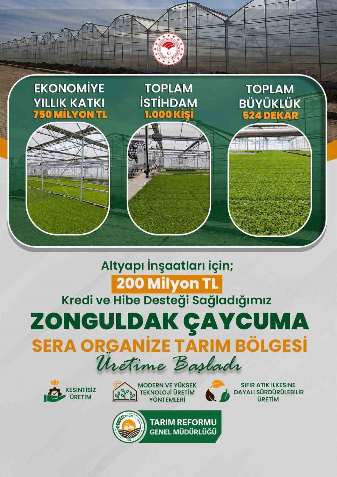 Çaycuma’da Sera Organize Sanayi Bölgesi üretime başladı