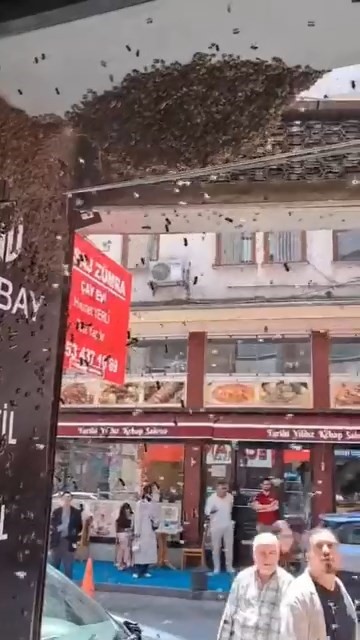 Binlerce arı iş merkezini bastı