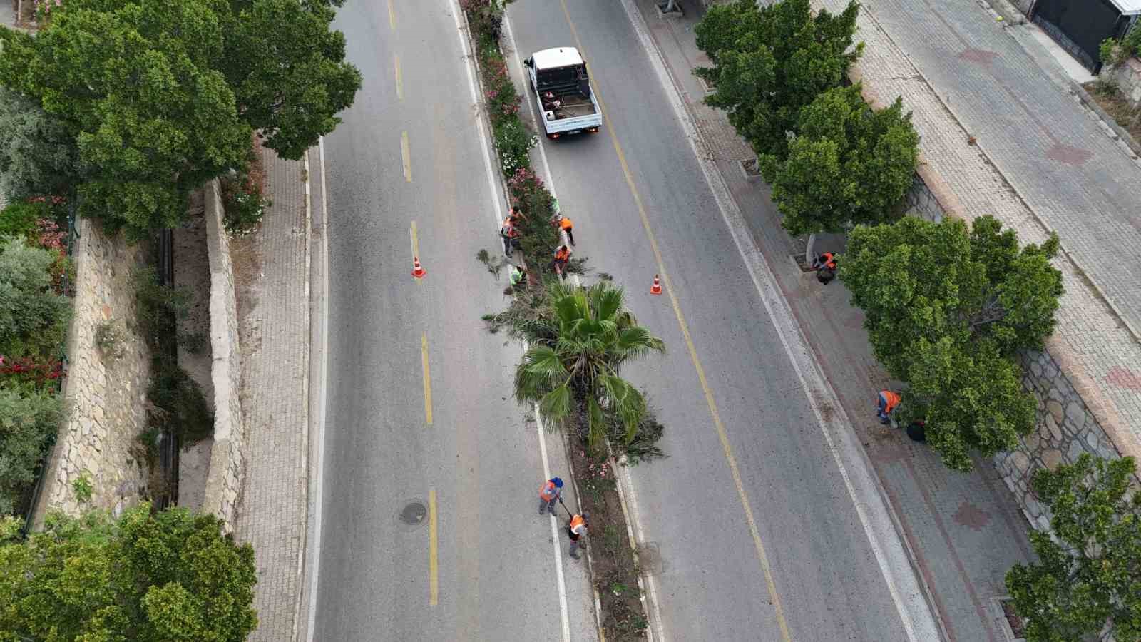 Bodrum Belediyesi ekipleri saha çalışmalarında hız kesmiyor