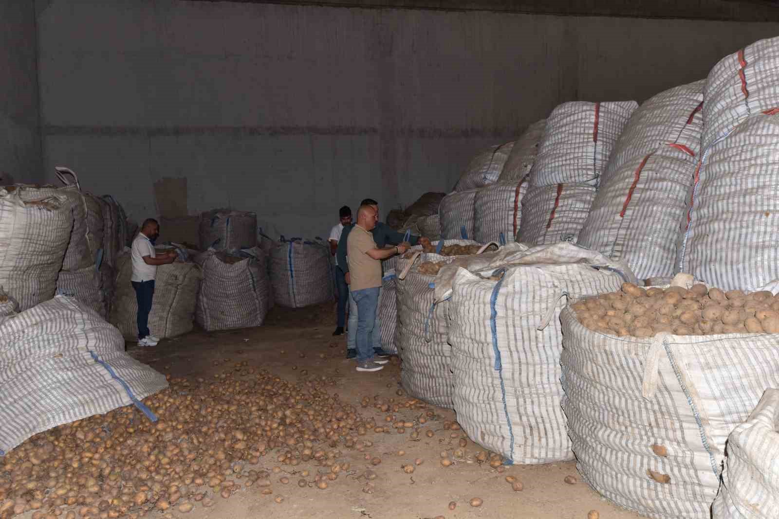 Ahlat’ta binlerce ton patates alıcı bekliyor