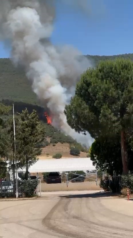 Yenişehir’deki yangının gücü azaldı