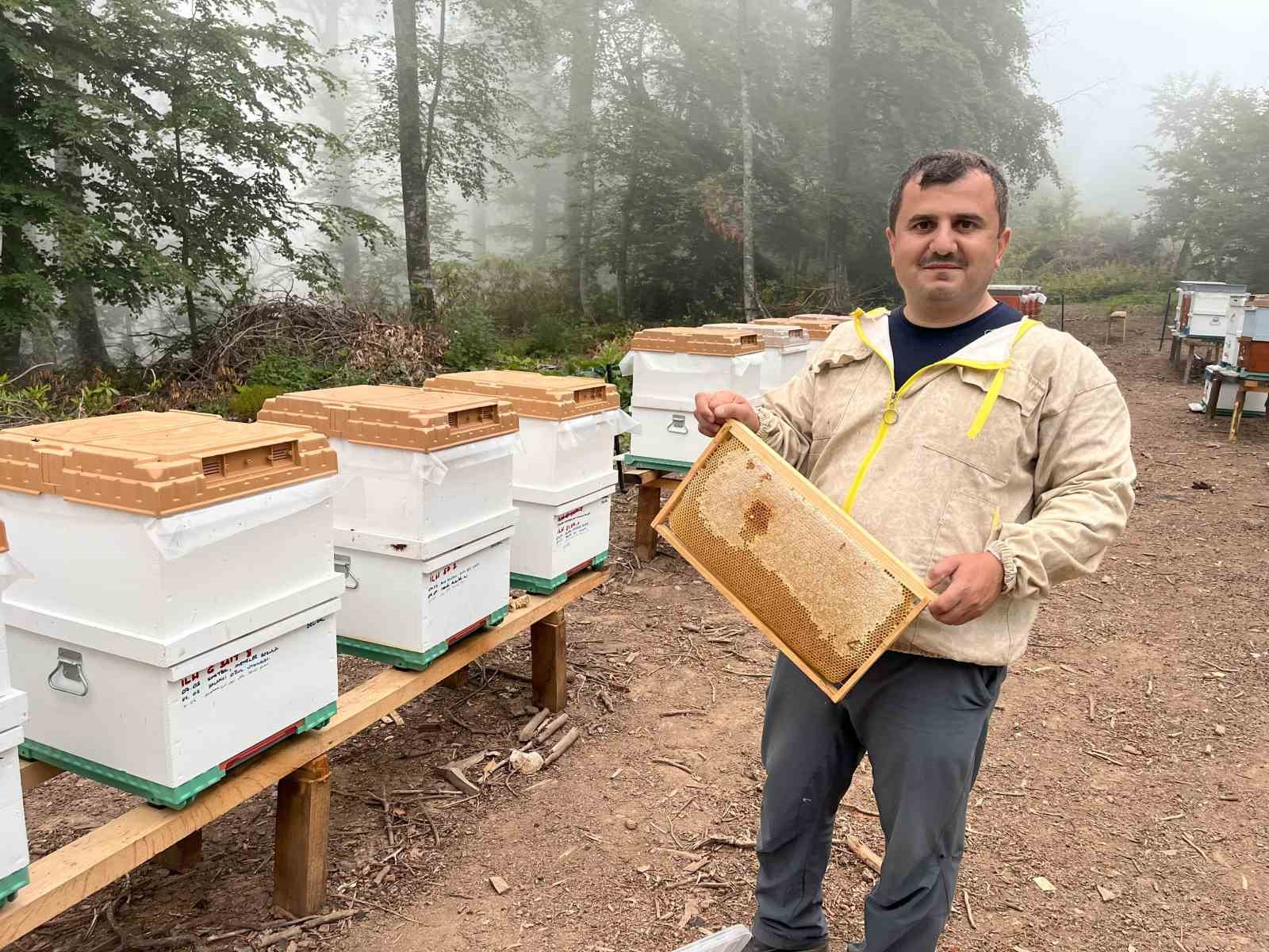 Zonguldak’ta ormangülü balında önemli üretim