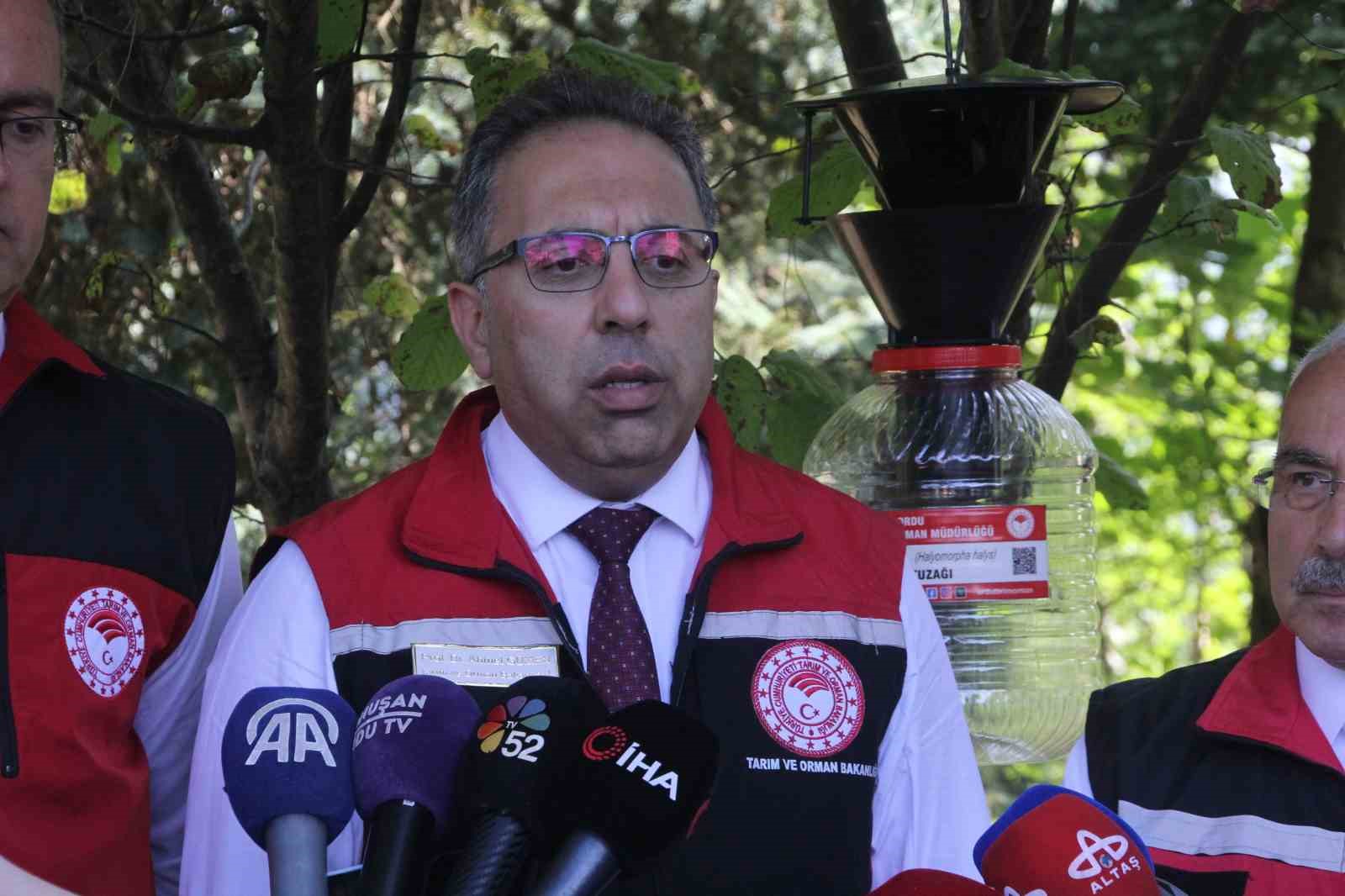 Türkiye’de kahverengi kokarcaya karşı 1 milyondan fazla samuray arısı salınımı yapılacak